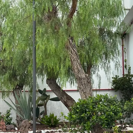 Apartment Casa Molly At Garden *